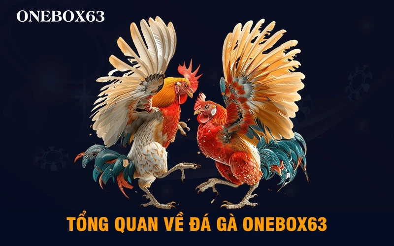 Đá gà Onebox63